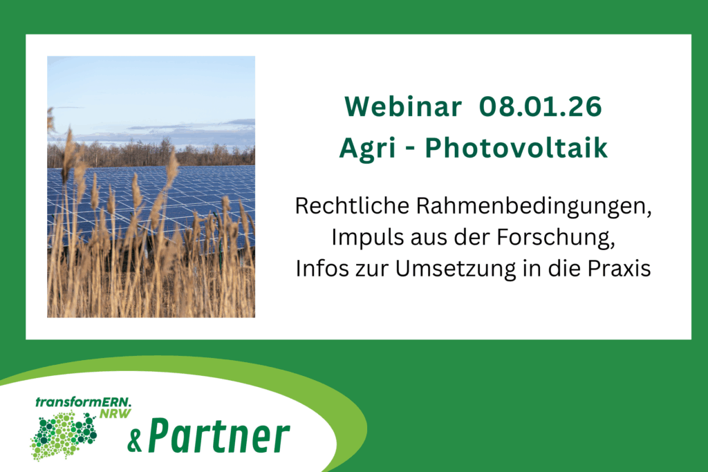 Webinar am 08.01.2026