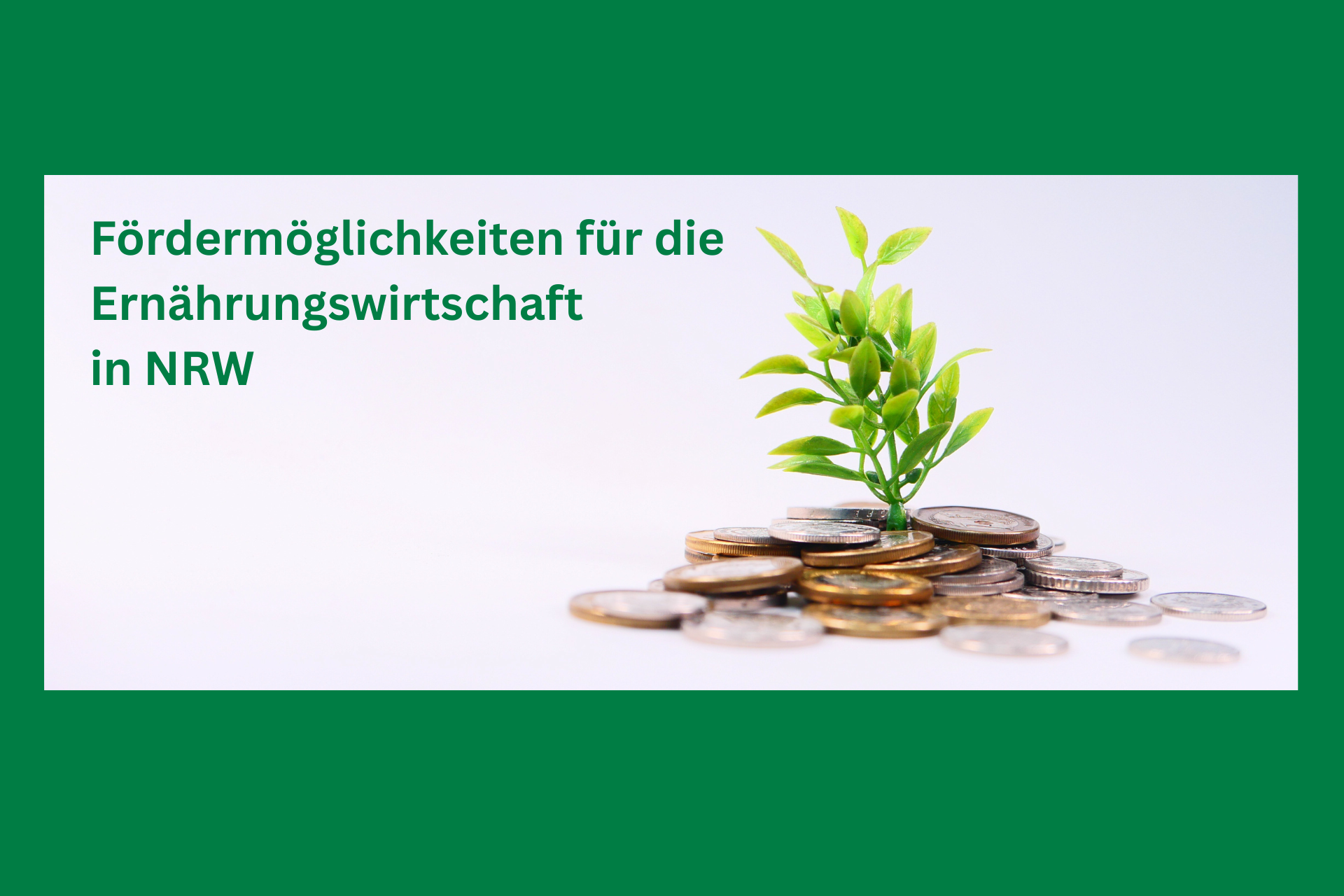 Fördermöglichkeiten für die Ernährungswissenschaft in NRW